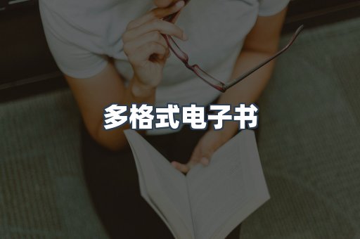 多格式电子书